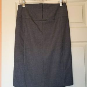 Express Pencil Skirt